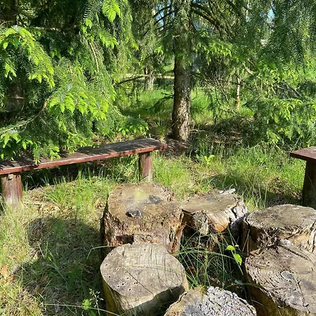 Дом отдыха A Gem In The Woods Close To The North Sea Rodhus